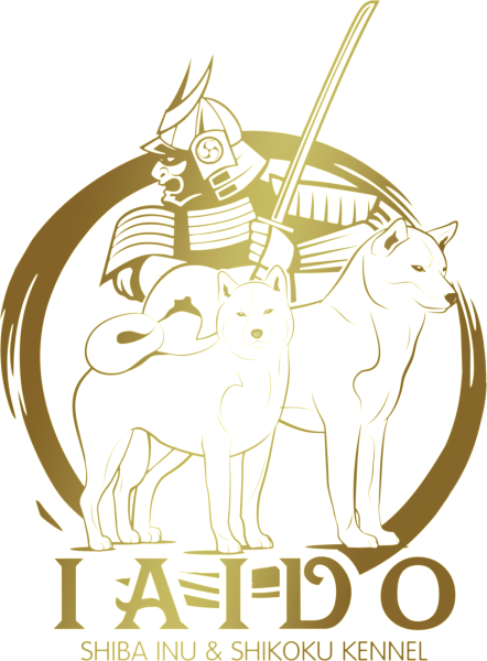 Iaido