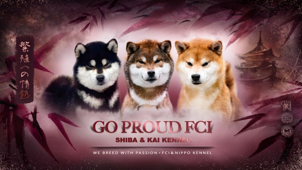 Go Proud FCI