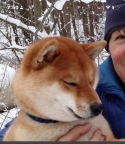 Dragon House My Heart