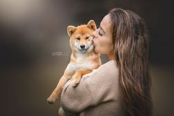 picture of dog
