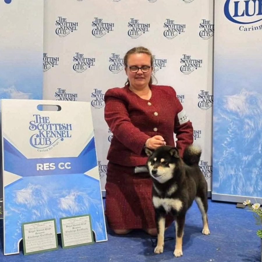 Lacsar The Real Thing