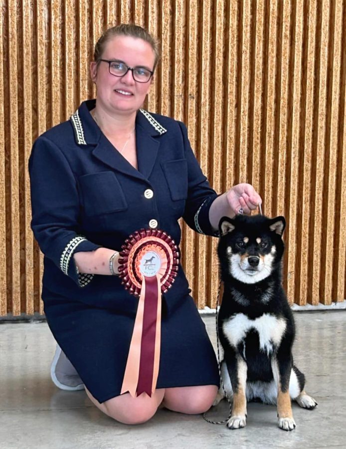 Lacsar You Can't Stop