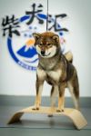 Fudzisan Raijimmaru
