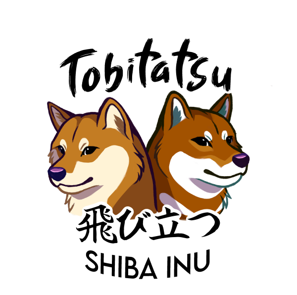 Tobitatsu Shiba Inu