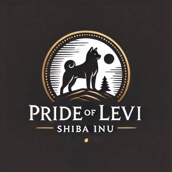 Pride of Levi