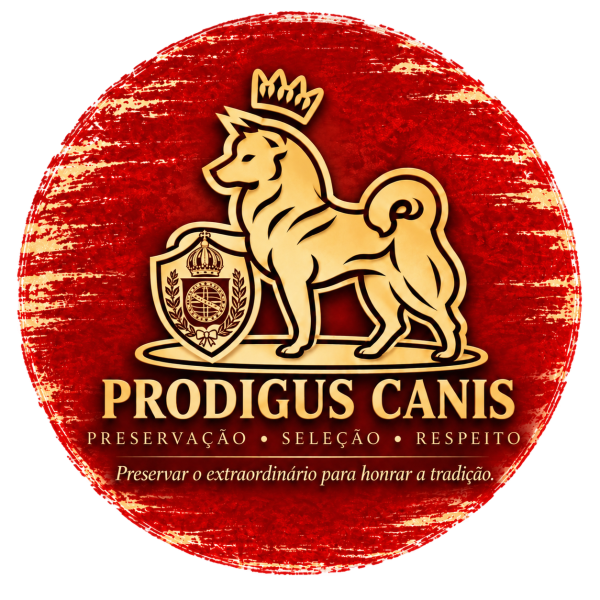 Prodigus Canis