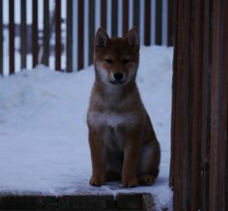 Horizon's Deadliest Catch