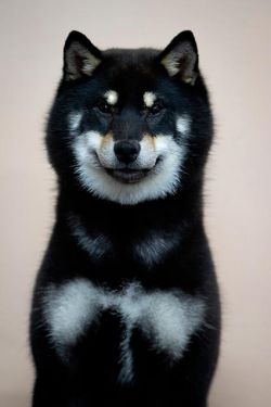 Saint Ellaris Kiyomi