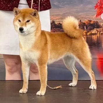 Berkana Pride Rika