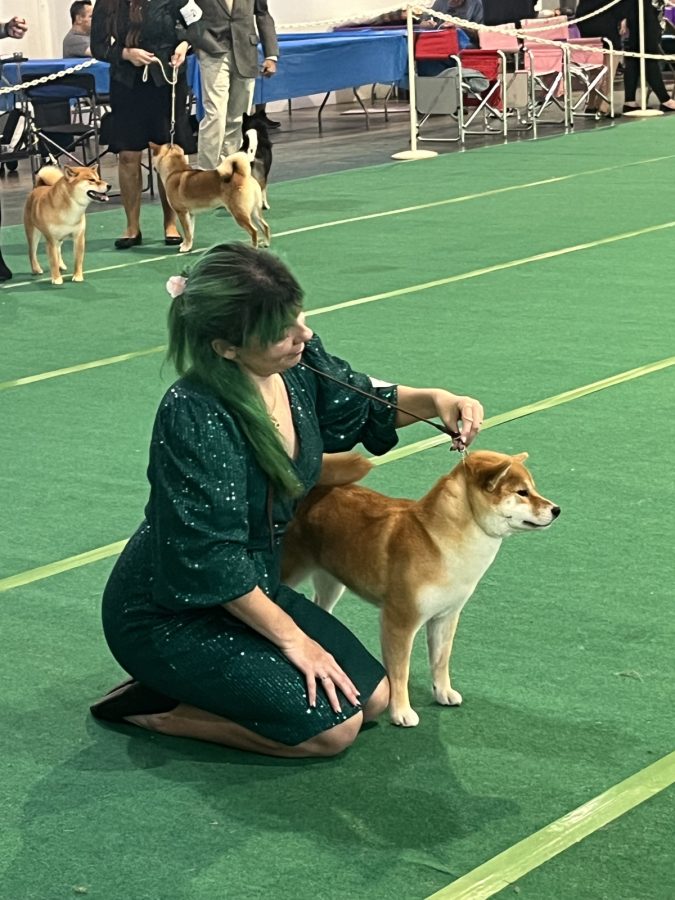 Masakado Tea Leoni