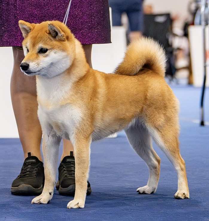 Benzaiten Go Kadzekaoru