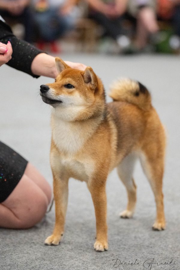 Erkkertin Fuyuhime
