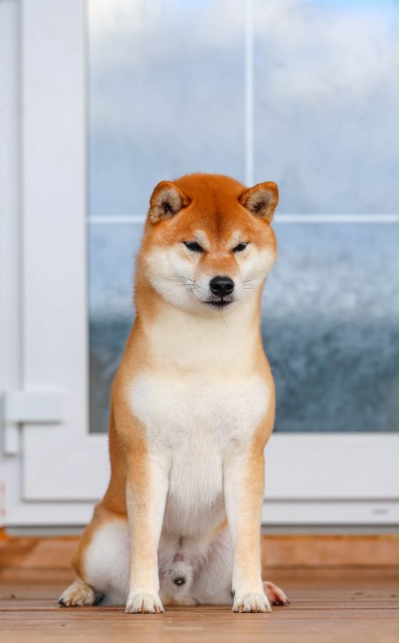 Hanagasumi Jomei