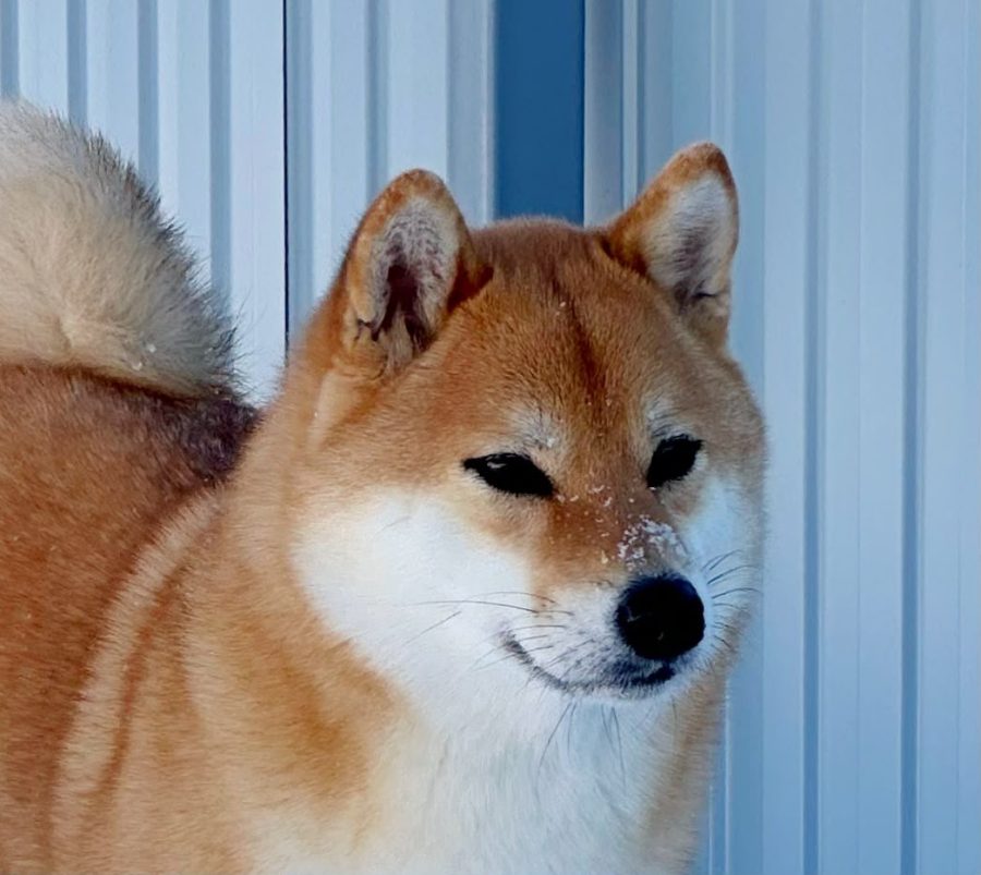 Hanagasumi Otohime Chiyo
