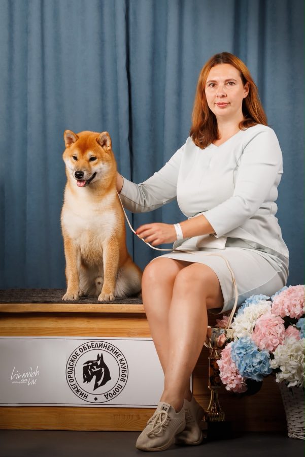 Toyokhara Shiba Benimaru