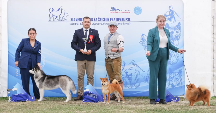 Eiji vom hundecampus