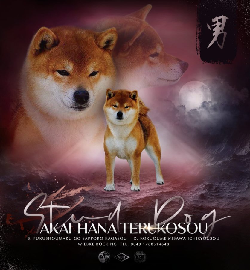 Akai Hana Terucosou