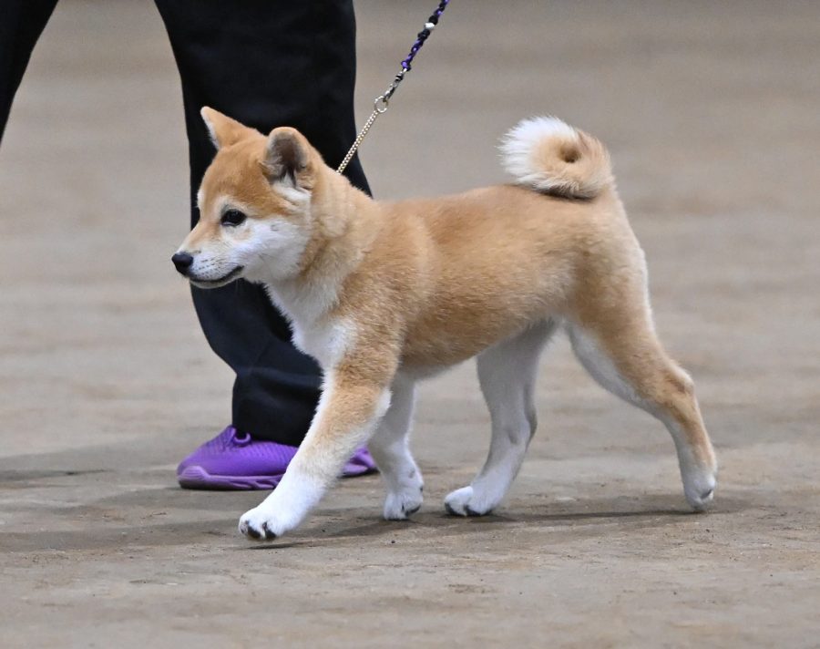 Kawako Yomers Smile For The Camera