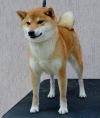 Hideno Go Kanagawa Shirai