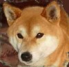 Mineko's We're In The Red Now