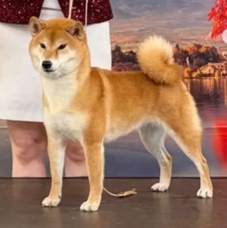 Berkana Pride Rika