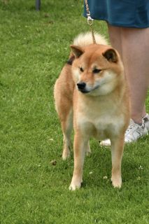 Shizen no Tamashii Juushin no Tamotsu