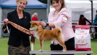 Kazokushiba Coming In Red Hot